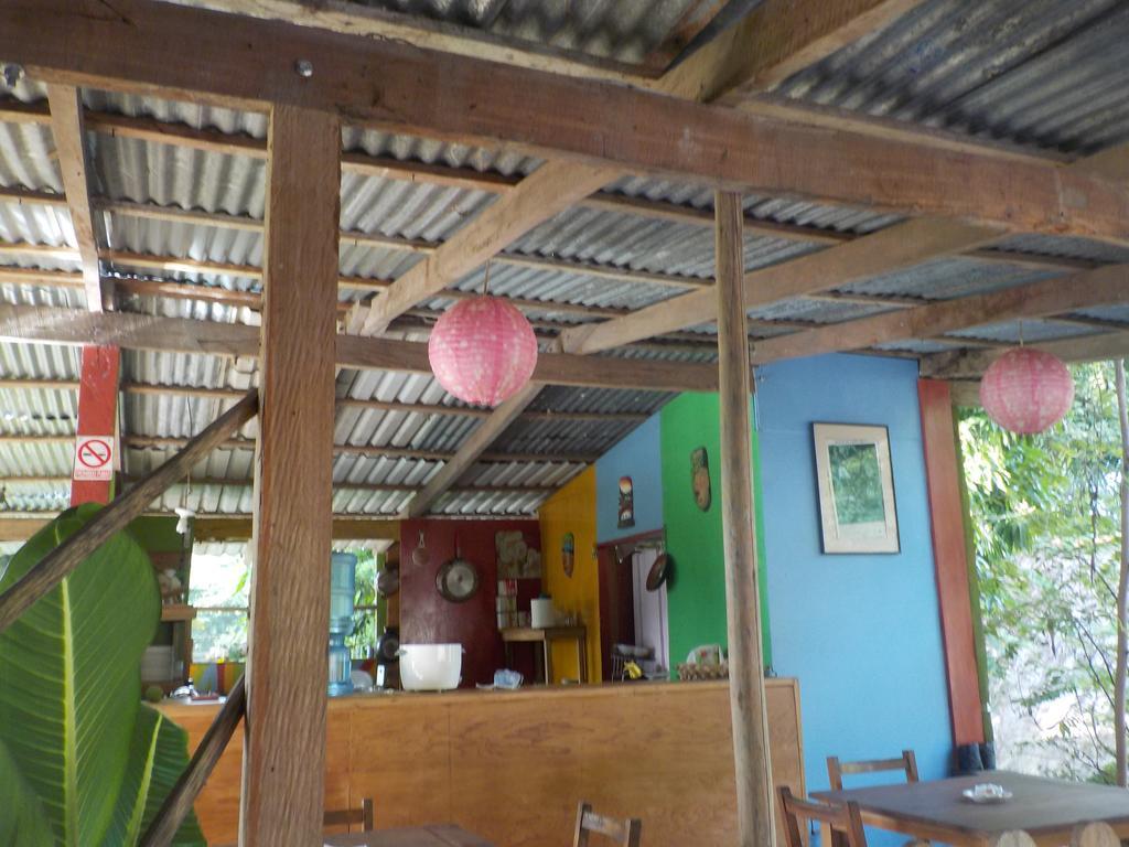 Talamanca Cabins カウイータ エクステリア 写真