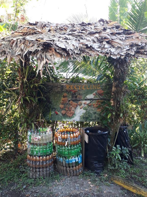 Talamanca Cabins カウイータ エクステリア 写真