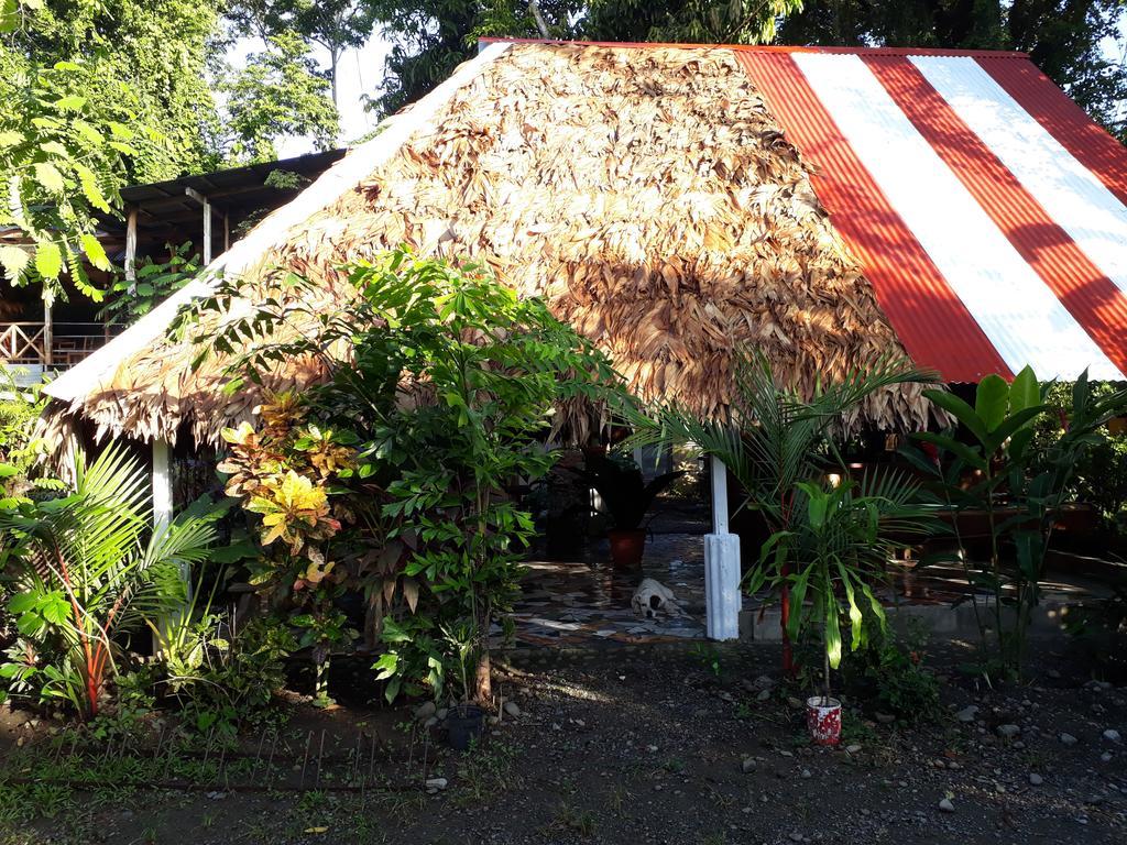 Talamanca Cabins カウイータ エクステリア 写真