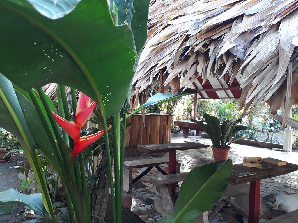 Talamanca Cabins カウイータ エクステリア 写真