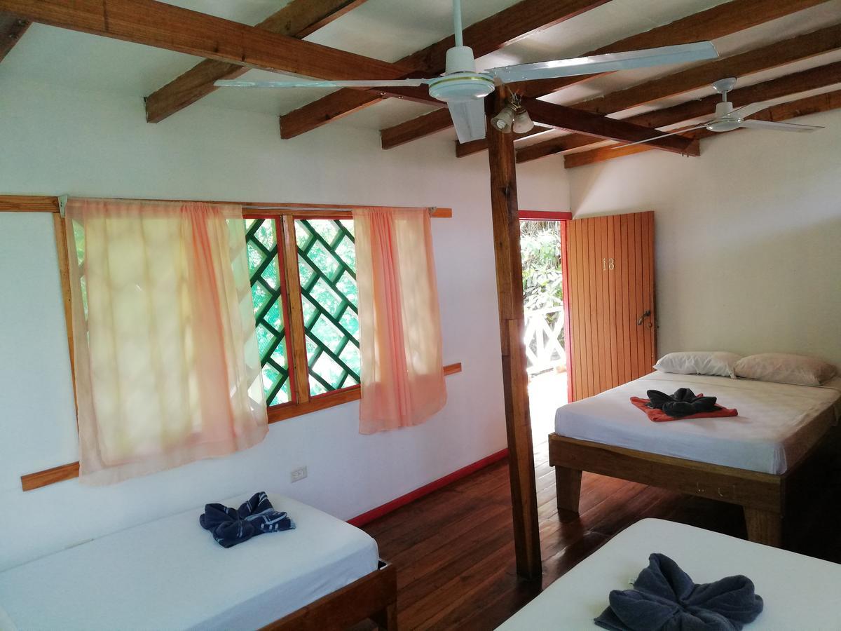 Talamanca Cabins カウイータ エクステリア 写真