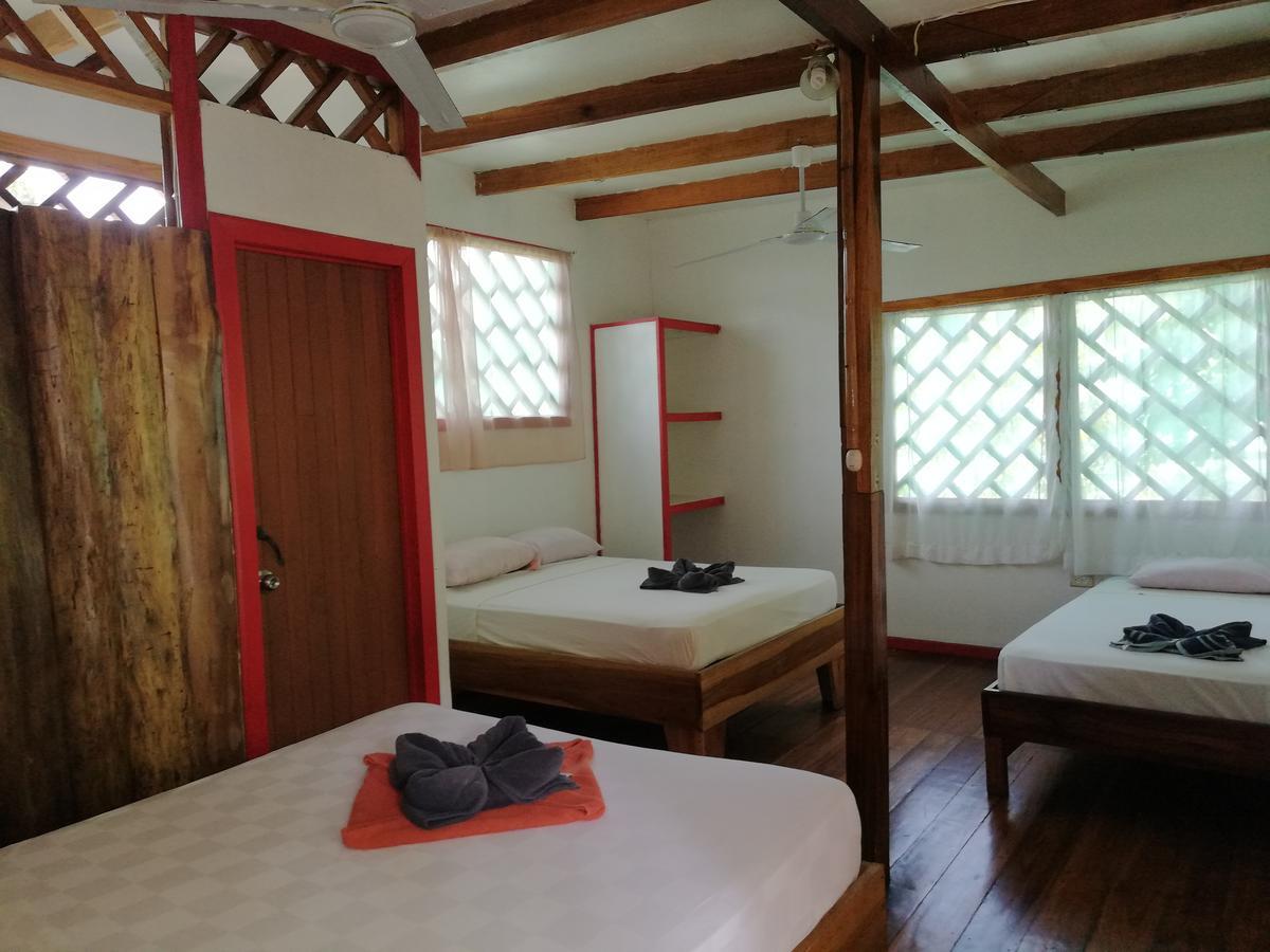Talamanca Cabins カウイータ エクステリア 写真