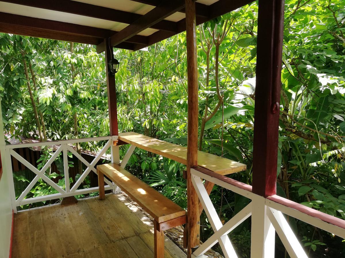 Talamanca Cabins カウイータ エクステリア 写真