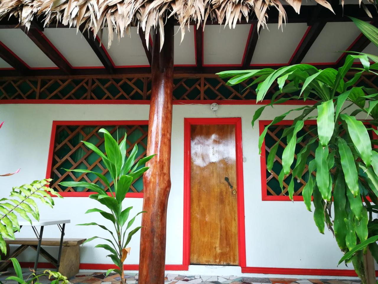 Talamanca Cabins カウイータ エクステリア 写真